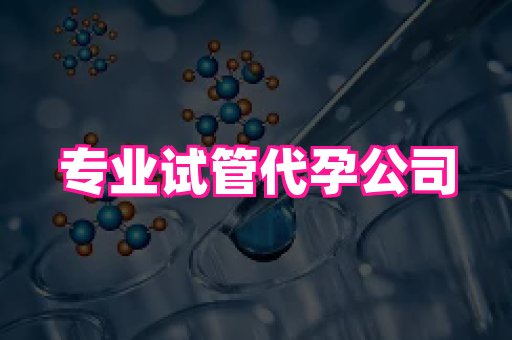 国际助孕网站 2