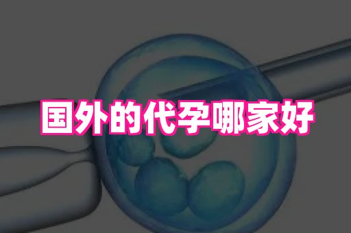 国际助孕网站 4